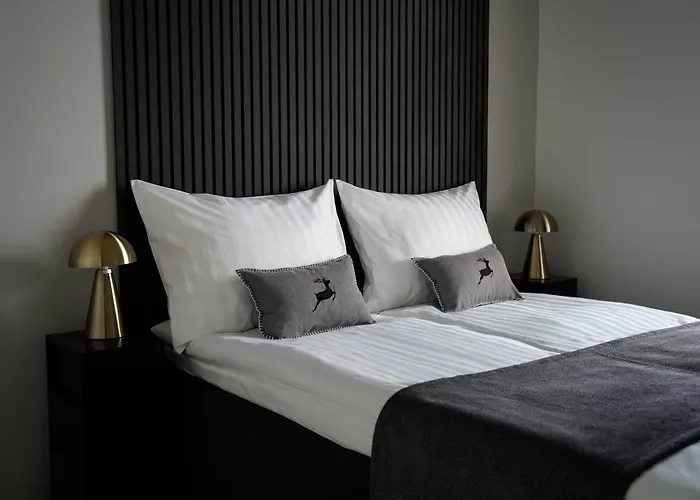 Appartement Premium With Sauna & Parking - Lapnest *